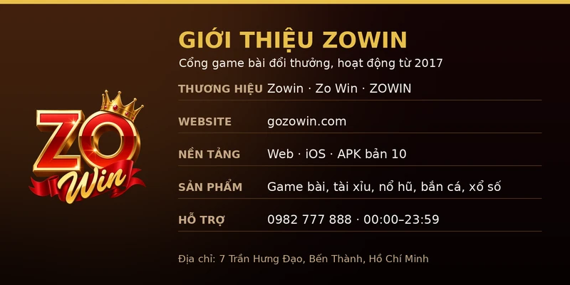 Hồ sơ thương hiệu trong bài giới thiệu Zowin